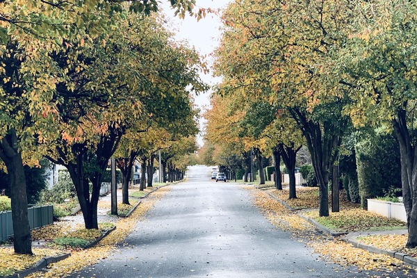 Nestled in a quiet, tree-lined Street, come and stay at 'A Place to call "Home".