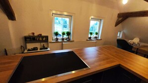 A kitchen with a wooden countertop, two windows with potted plants, and a radiator. - Large vacation home on the Aschberg, great view, terrace & large garden 6+2  (Klingenthal)