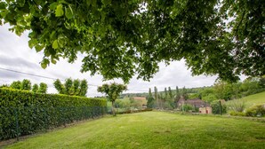 Ein grünes Feld mit einer Hecke, einem Baum und einem Gebäude im Hintergrund.