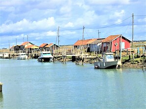 Marina - VILLA ROMA GUSCO BY THE SEA  QUIET BEAUTIFUL GARDEN (Saint-Georges-de-Didonne)