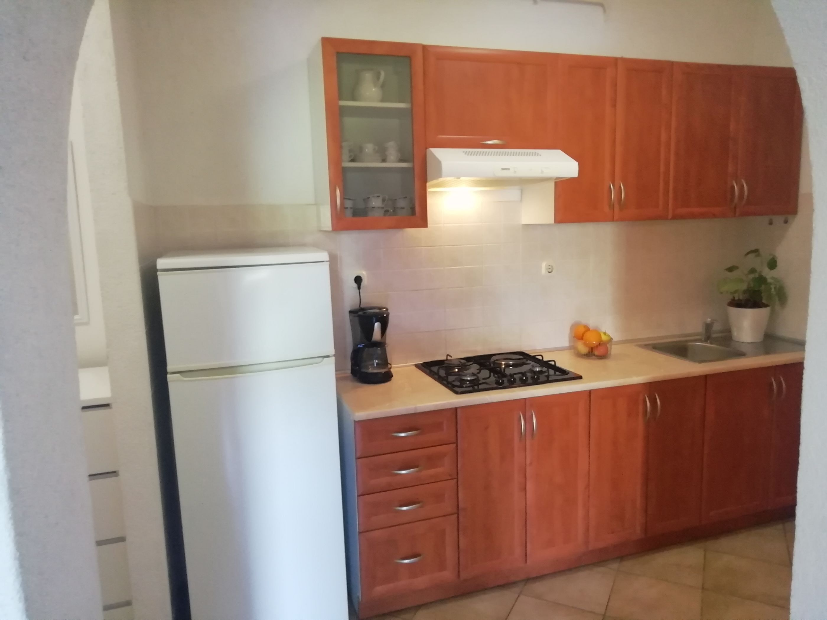 A compact kitchen with wooden cabinets, a white refrigerator, a gas stove, a coffee maker, and a potted plant.