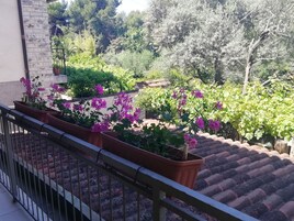 Un balcón con baldosas de terracota, plantas en macetas con flores moradas y vista a un jardín con árboles y un edificio al fondo.