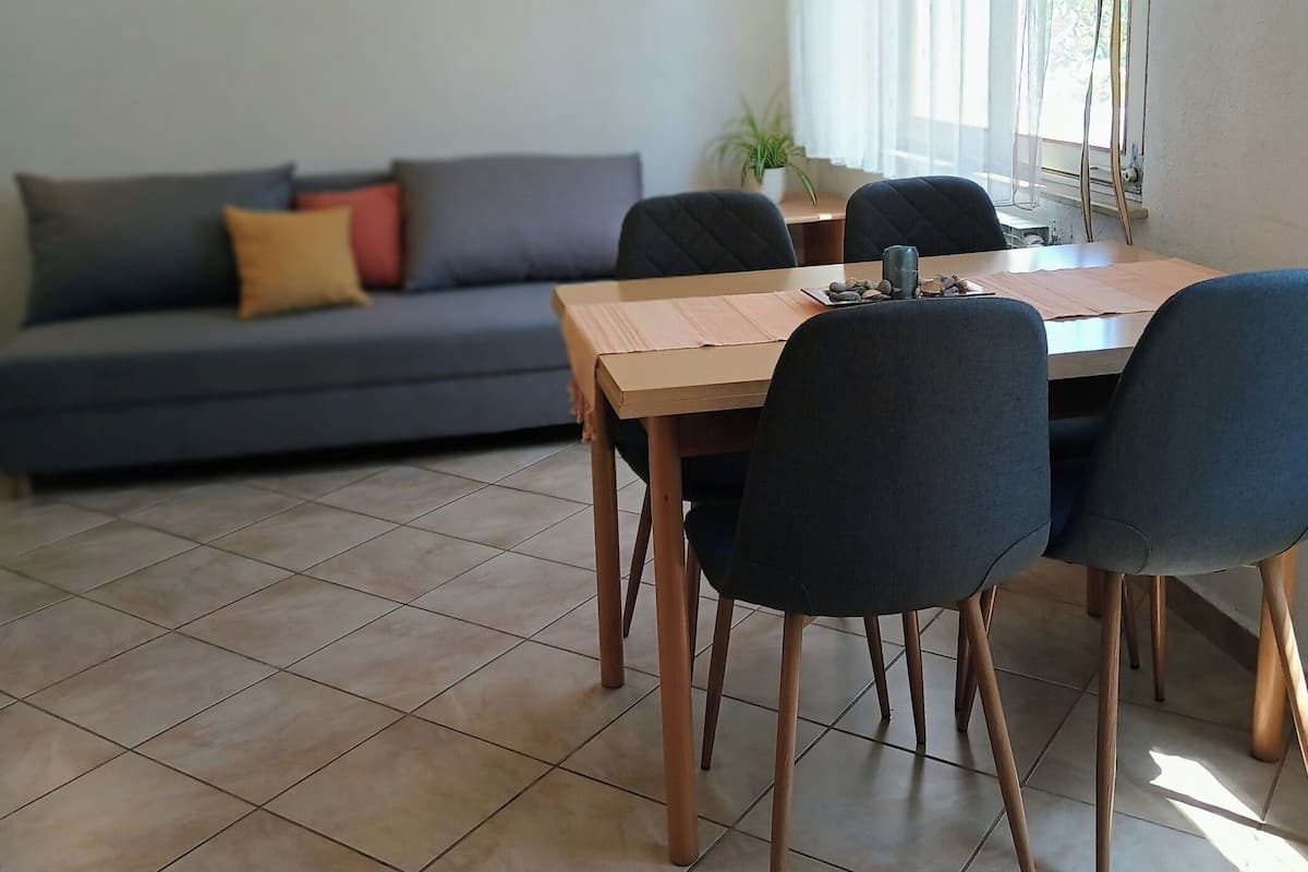 Un coin repas avec une table et des chaises en bois, un canapé gris avec des coussins et une plante en pot.