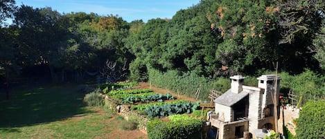 Grill-/Picknickplatz