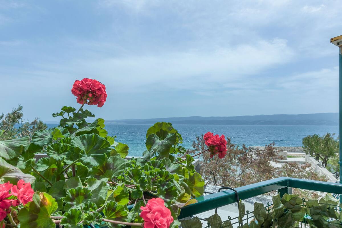 A balcony with red flowers and a view of the sea.