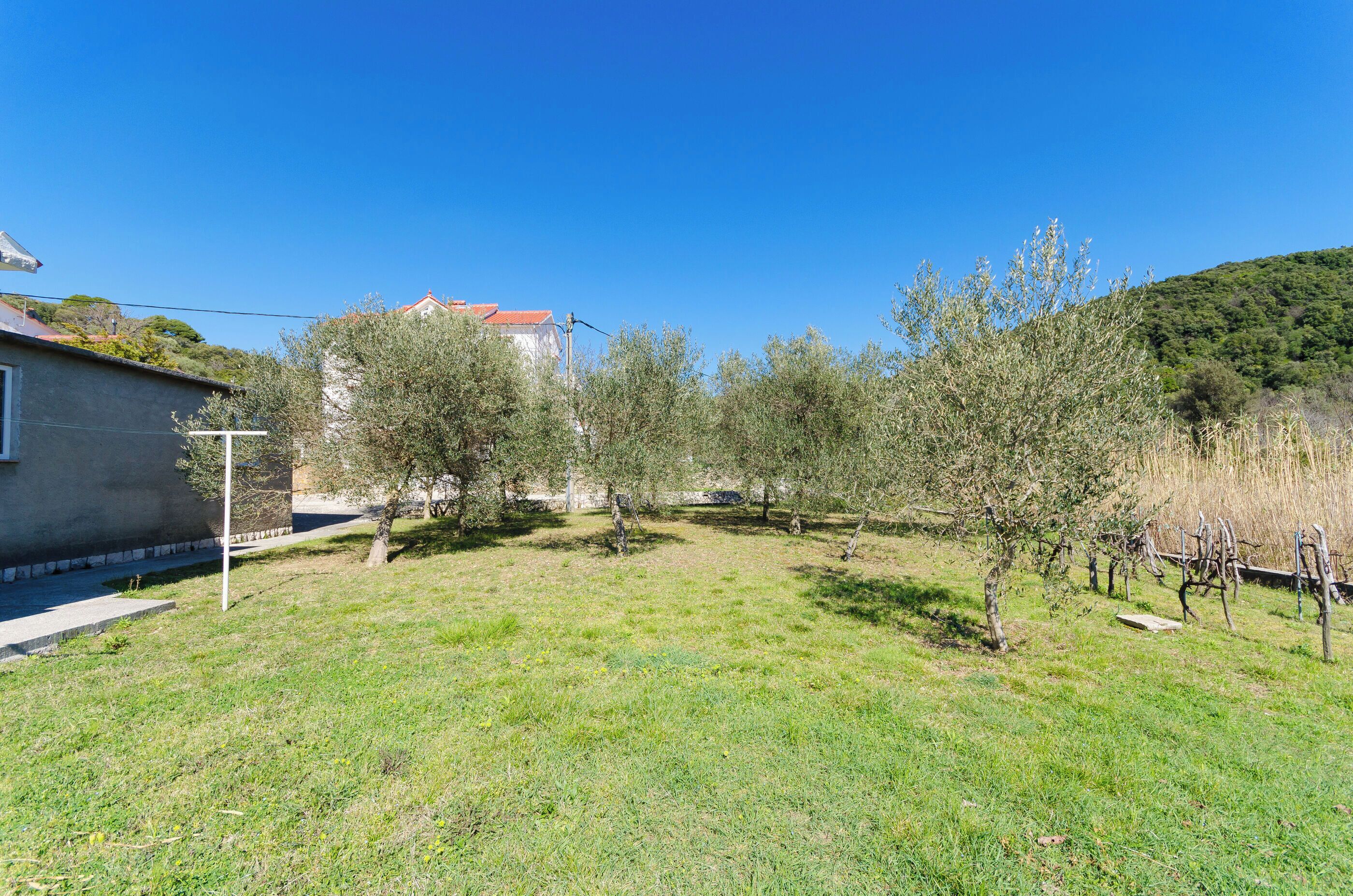 Un prato con alberi e un edificio sullo sfondo.