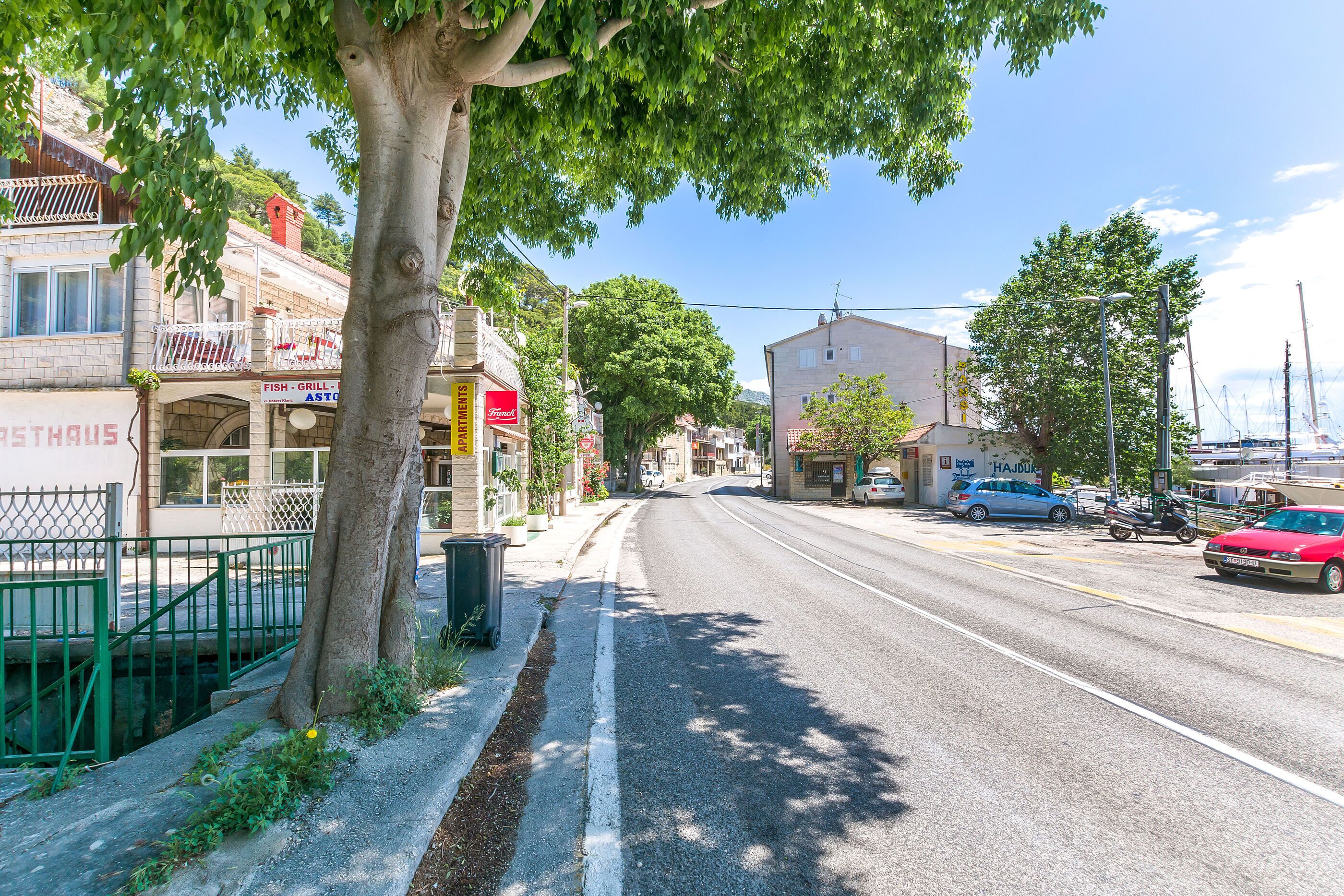 Una calle con edificios, aceras arboladas y coches aparcados.