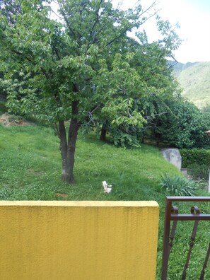 Exterior - Apartments Vesna (Moscenicka Draga)