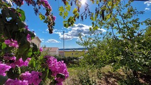 Un jardín con parras y buganvillas bajo un cielo despejado.