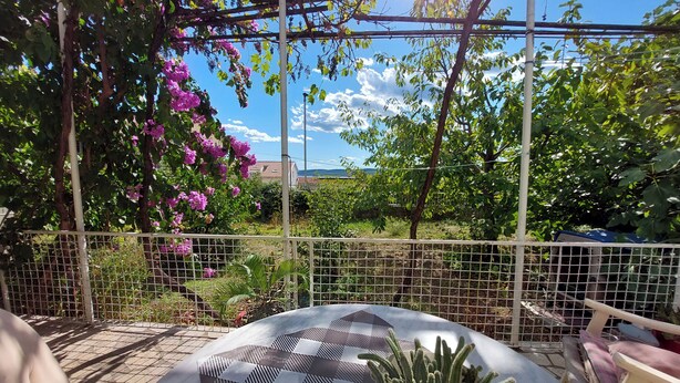Un patio con una mesa a cuadros, una planta de cactus y un pérgola adornada con flores rosadas.