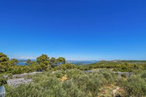 Quang cảnh mặt nước