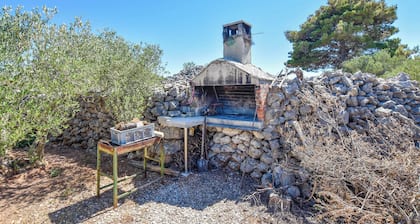 House Volak