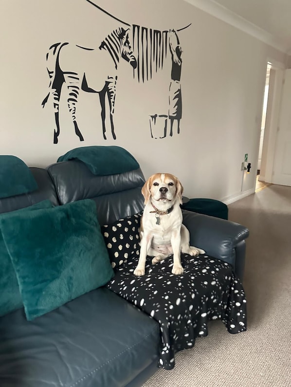 Family House | Living area