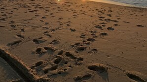 A beach with footprints leading to the water, a clear sky, and the sun setting over the horizon. - Charming villa in Cap-Ferret (Lège-Cap-Ferret)