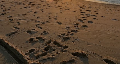 Villa de charme au Cap-Ferret