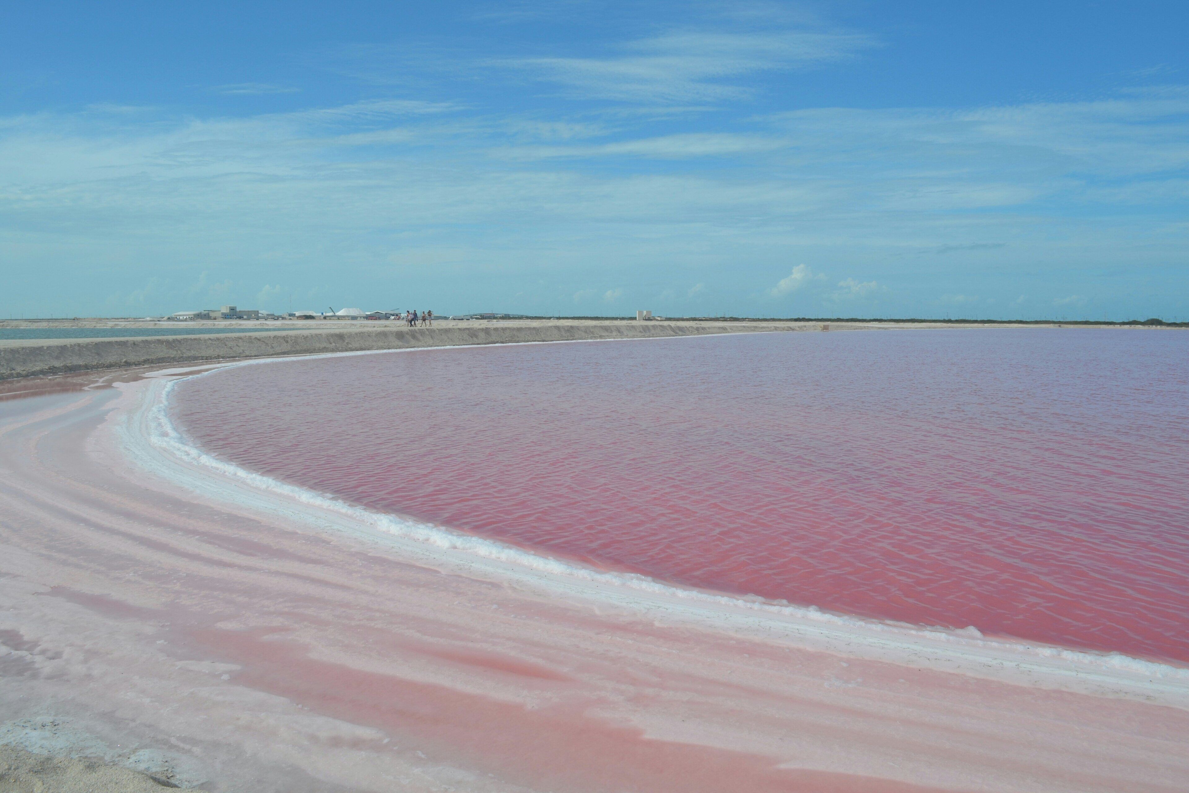 Photo - Crowne Plaza Merida by IHG