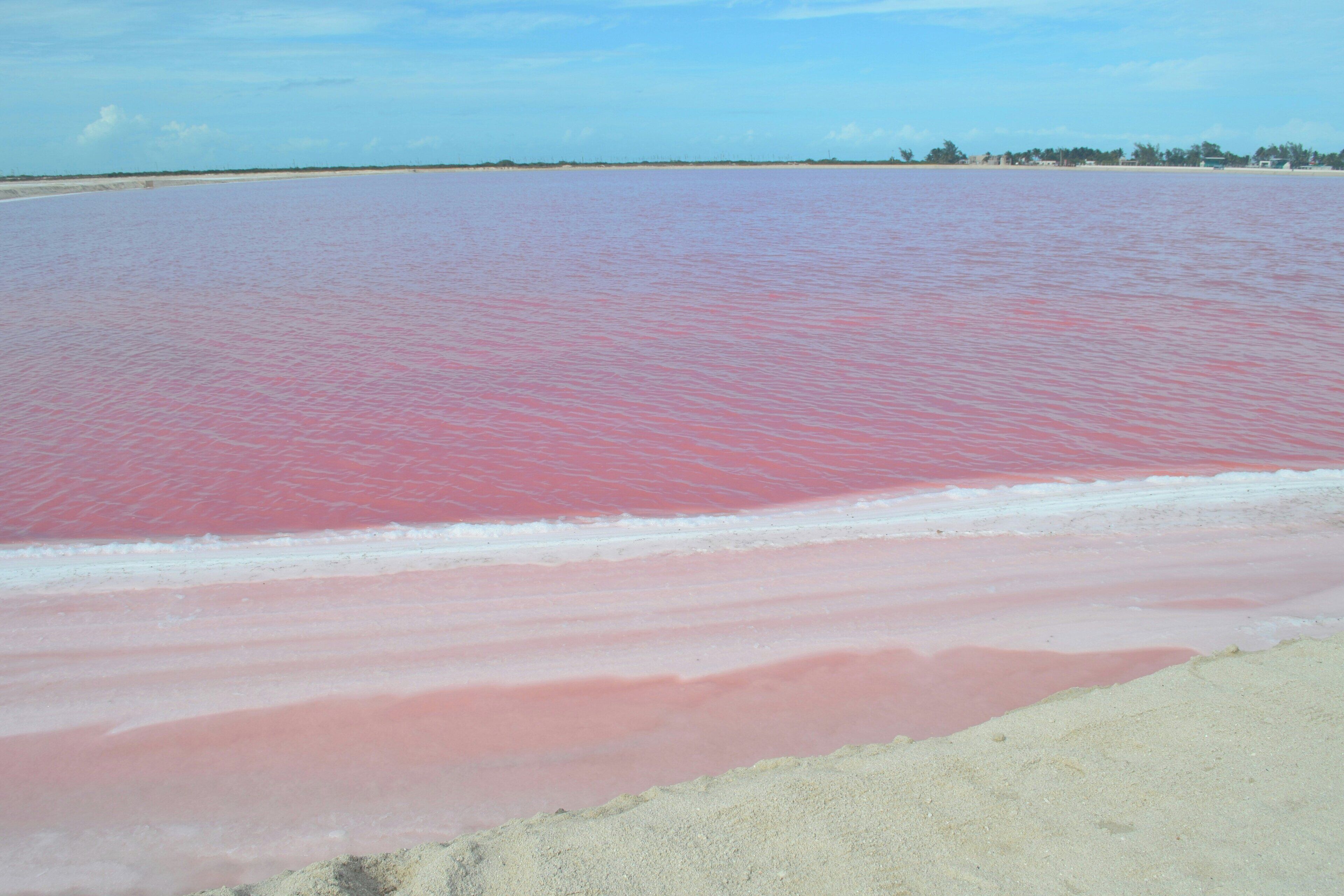 A beach with pink sand and clear water.