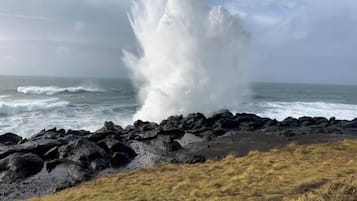 Eksteriør