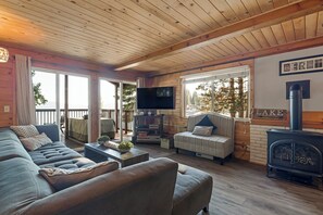 TV, fireplace, DVD player