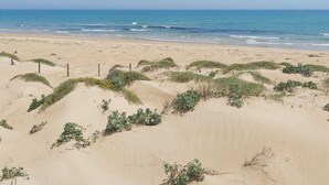 A sandy beach with dunes and sparse vegetation. - Premium Holiday House  (Torrevieja)