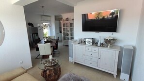 Smart TV, fireplace, DVD player, books