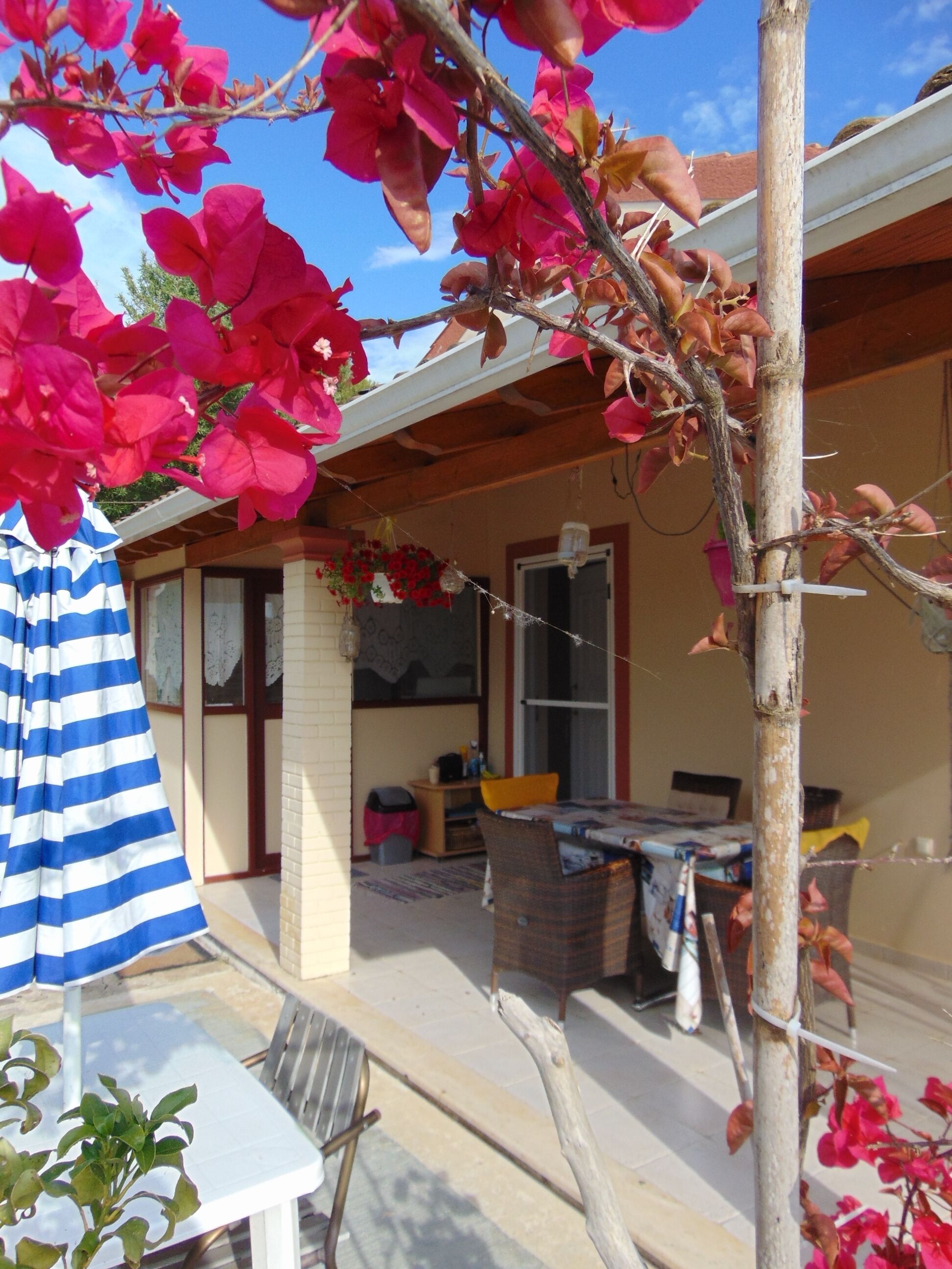 front yard