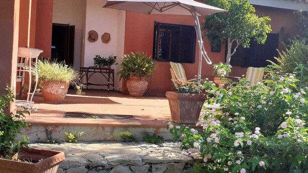 Un espace patio aménagé avec une table et des chaises, des plantes en pot et un chemin en pierre.