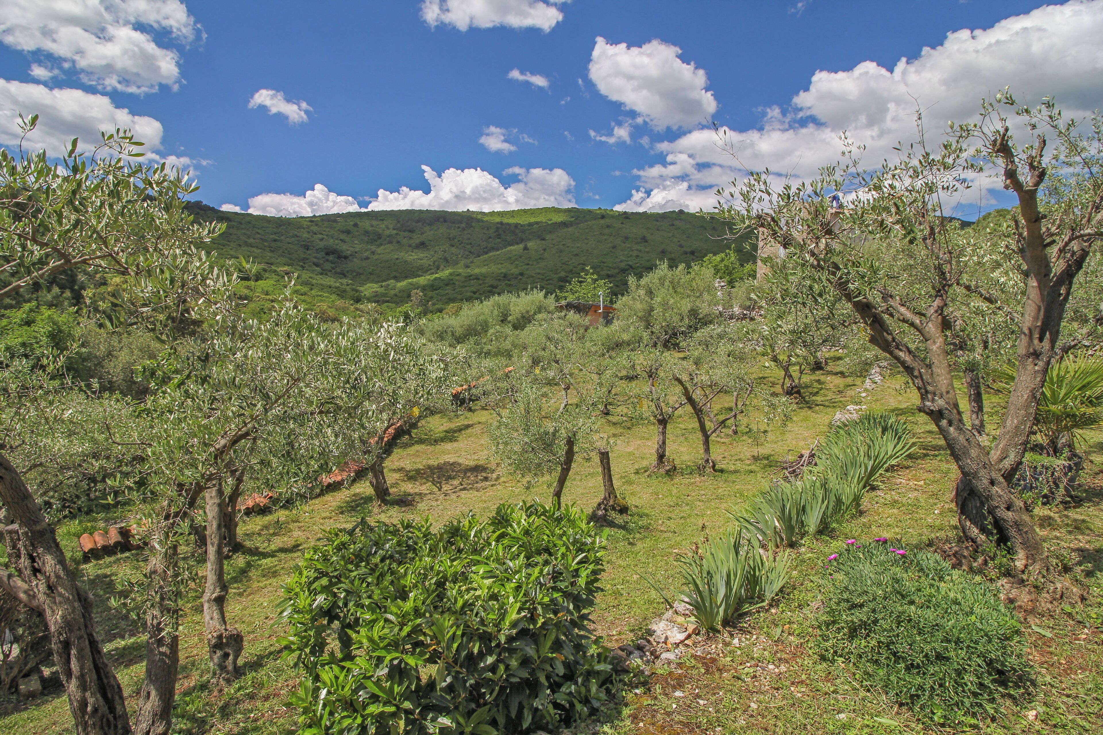 Jardines del alojamiento