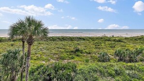 A beach with green vegetation and a palm tree. - Island House A209 2 Bedroom Condo by RedAwning (St. Augustine)