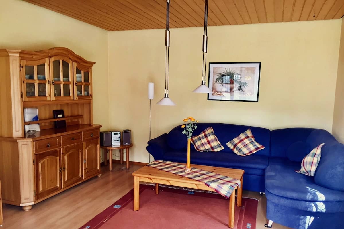Una sala de estar con un sofá azul, un aparador de madera y un tapete rojo.