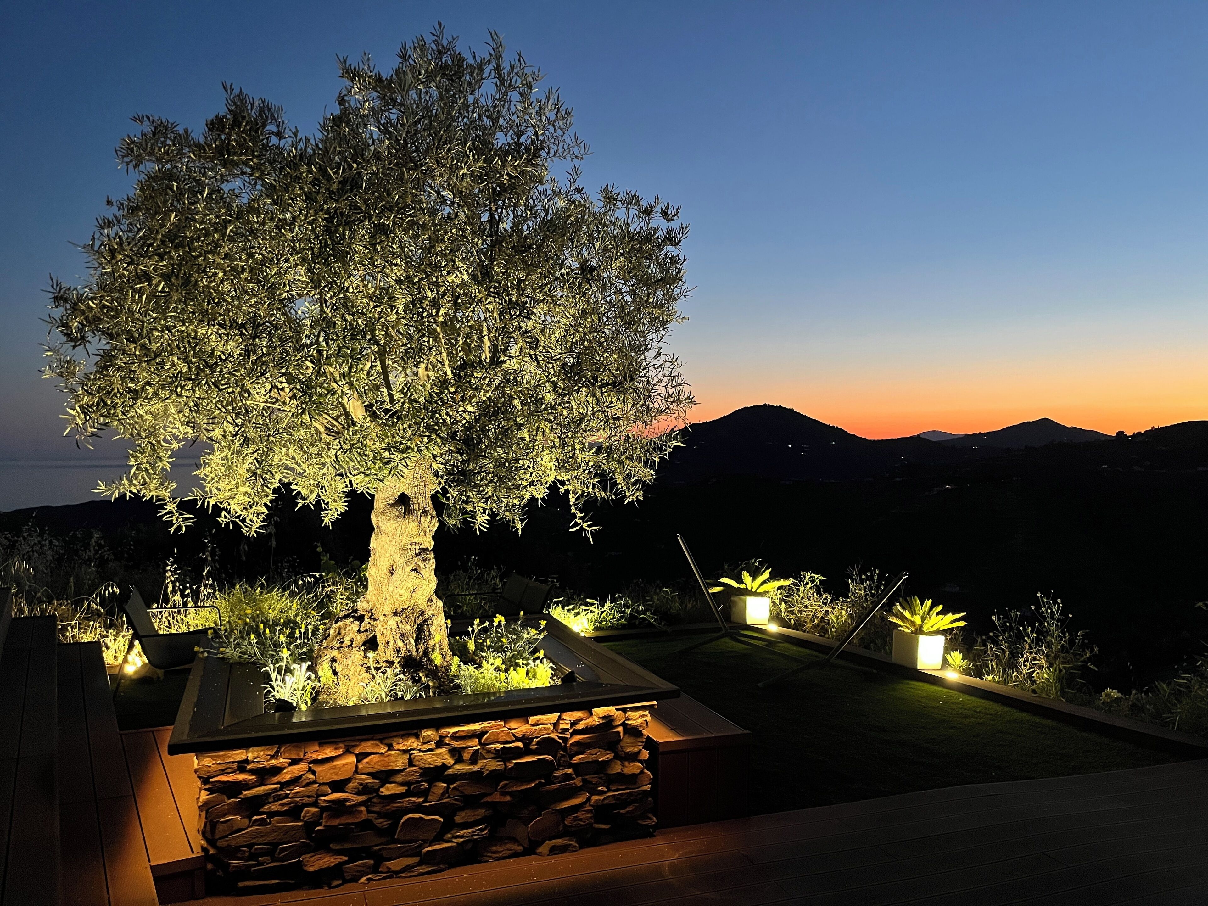 Overnattingsstedets uteområder