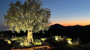 Ein angelegter Garten mit einem großen Baum, einer Steinmauer und beleuchteten Pflanzgefäßen im Abendlicht.