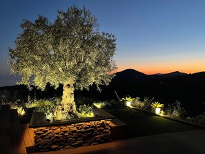 Overnattingsstedets uteområder