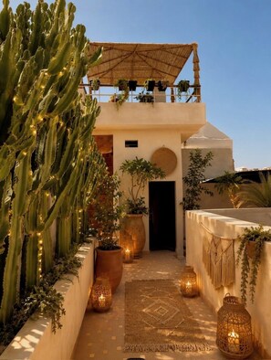 A courtyard with a cactus, potted plants, a woven canopy, and lanterns.