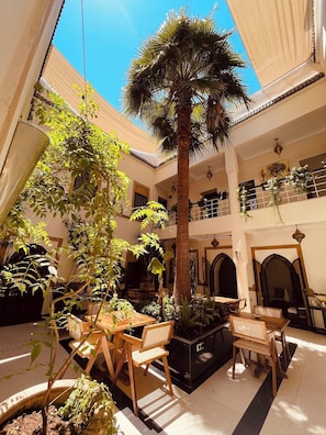 A multi-level courtyard with indoor seating, a palm tree, and potted plants.