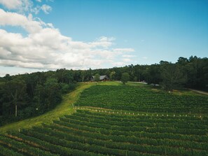 Kombinert dusj/badekar, hårføner, håndklær og såpe