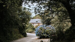 Property grounds - Plum Guide - Wheel House (Newquay)