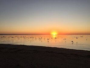 Vlak bij het strand, ligstoelen