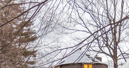 Plum Guide - Soul Of The Willow