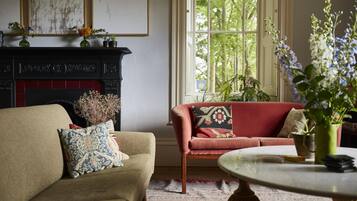 TV, fireplace, books