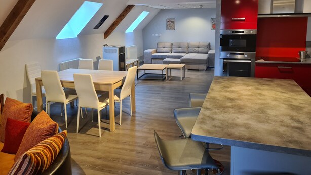 Un espace de vie moderne de style loft comprenant un coin repas, une cuisine et un coin salon.