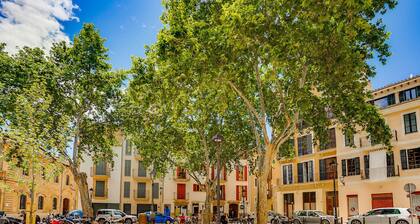 DUPLEX PALMA APARTMENT ETV/5551