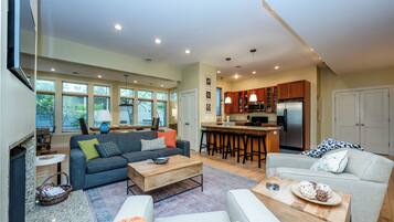 TV, fireplace, books