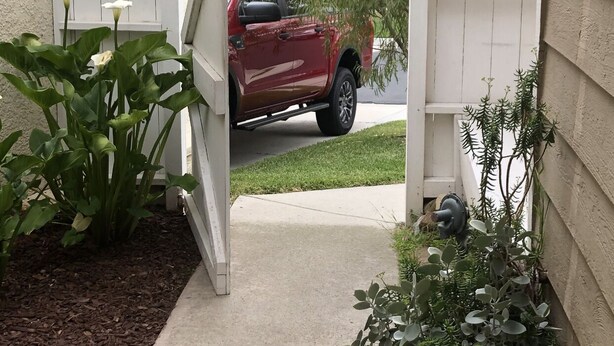 A red truck parked in a driveway with a white gate and a small garden area with plants.