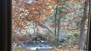 A view of a stream with autumn leaves and trees through a window. - French Creek Inn.    Creekside Cabin with Fire Sauna (Riggins)