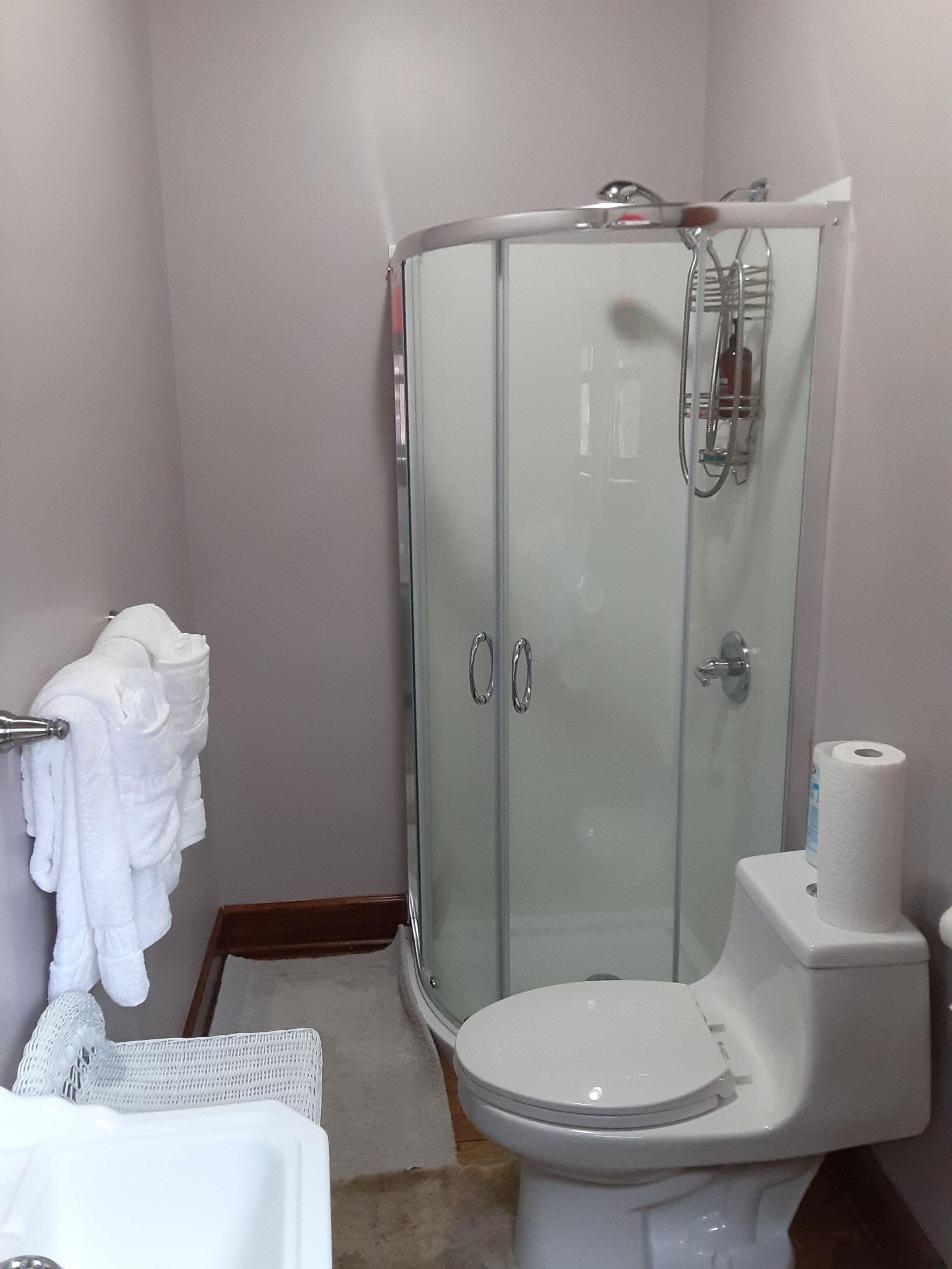 Victorian Home in Toledo's Historic Old West End