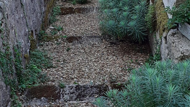 Un callejón estrecho con una puerta verde al final, rodeado de vegetación y piedras pequeñas.