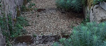 "La Halte Verte" , Charmant Studio Tout Confort en Centre Ville