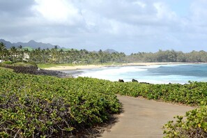 Toallas de playa