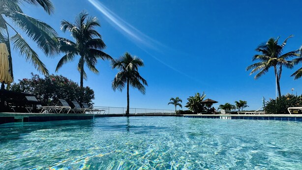 A clear swimming pool with lounge chairs and palm trees. - Sky view of sunsets and TAMPA BAY !! (St. Petersburg)